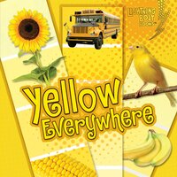 Yellow Everywhere - Kristin Sterling