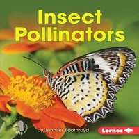 Insect Pollinators - Jennifer Boothroyd