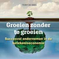 Groeien zonder te groeien: Succesvol ondernemen in de betekeniseconomie - Tony de Bree