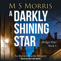 A Darkly Shining Star - M S Morris