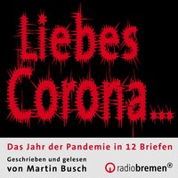 Liebes Corona…: Das Jahr der Pandemie in 12 Briefen - Martin Busch