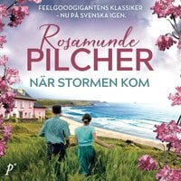 När stormen kom - Rosamunde Pilcher
