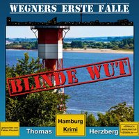 Blinde Wut - Wegners erste Fälle - Hamburg Krimi, Band 3 - Thomas Herzberg