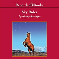 Sky Rider - Nancy Springer
