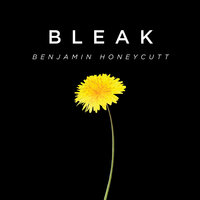 Bleak - Benjamin Honeycutt