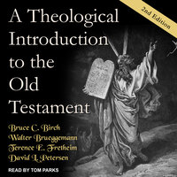 A Theological Introduction to the Old Testament - Walter Brueggemann, Bruce C. Birch, Terence E. Fretheim, David L. Petersen