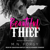 Beautiful Thief - M.N. Forgy