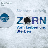 Vom Lieben und Sterben - Zorn, Band 2 (Autorisierte Lesefassung) - Stephan Ludwig