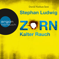 Kalter Rauch - Zorn, Band 5 (Ungekürzte Lesung) - Stephan Ludwig