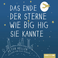 Das Ende der Sterne wie Big Hig sie kannte - Peter Heller