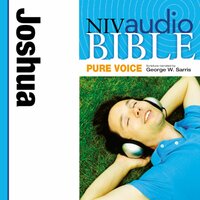 Pure Voice Audio Bible - New International Version, NIV: Joshua - Zondervan