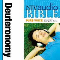 Pure Voice Audio Bible - New International Version, NIV: Deuteronomy - Zondervan