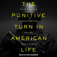 The Punitive Turn in American Life: How the United States Learned to Fight Crime Like a War - Michael S. Sherry