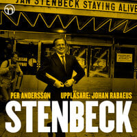 Stenbeck: En biografi över en framgångsrik affärsman - Per Andersson