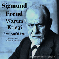 Warum Krieg?: drei Aufsätze - Sigmund Freud