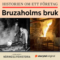 Historien om ett företag: Bruzaholms bruk