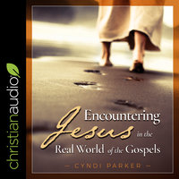 Encountering Jesus in the Real World of the Gospels - Cyndi Parker