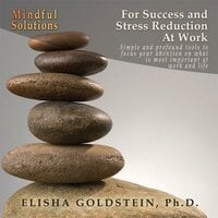 Mindful Solutions for Success and Stress Reduction at Work - Elisha Goldstein