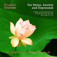 Mindful Solutions for Stress, Anxiety, and Depression - Elisha Goldstein