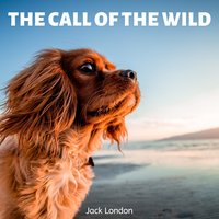 The Call of The Wild - Jack London