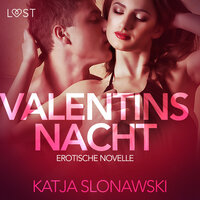 Valentinsnacht: Erotische Novelle - Katja Slonawski