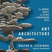 Ant Architecture: The Wonder, Beauty, and Science of Underground Nests - Walter R. Tschinkel