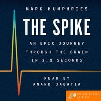 The Spike: An Epic Journey Through the Brain in 2.1 Seconds