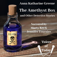 The Amethyst Box and Other Detective Stories - Anna Katharine Green