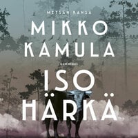 Iso härkä - Mikko Kamula