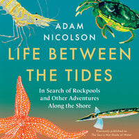 Life Between the Tides: In Search of Rockpools and Other Adventures Along the Shore - Adam Nicolson