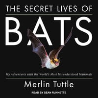 The Secret Lives of Bats: My Adventures with the World's Most Misunderstood Mammals