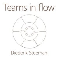 Teams in flow: Negen elementen van topteams - Diederik Steeman