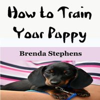 How to Train Your Puppy - Brenda Stephens
