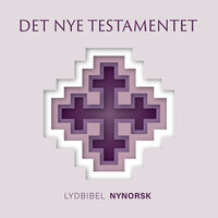 Det nye testamentet - Lydbibel nynorsk - Bibelen