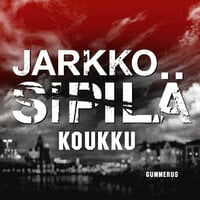 Koukku - Jarkko Sipilä