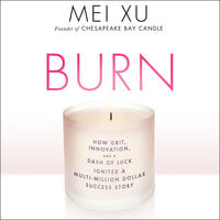 Burn: How Grit, Innovation, and a Dash of Luck Ignited a Multi-Million Dollar Success Story - Mei Xu