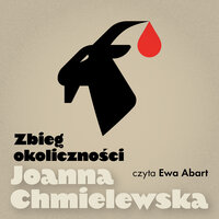 Zbieg okoliczności - Joanna Chmielewska