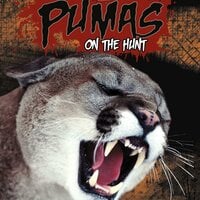 Pumas - Jody Rake