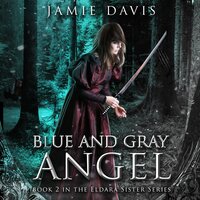 The Blue and Gray Angel - Jamie Davis