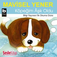 Köpeğim Aşık Oldu - Mavisel Yener