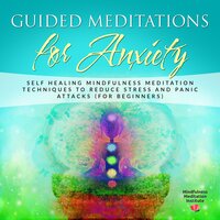 Guided Meditations for Anxiety: Self Healing Mindfulness Meditation Techniques to reduce Stress and Panic Attacks (for Beginners) - Mindfulness Meditation Institute