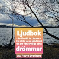 En Livstid Av Lärdom - Patric Svanberg