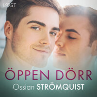 Öppen dörr - erotisk novell - Ossian Strömquist