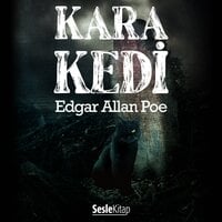 Kara Kedi - Edgar Allan Poe