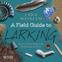 A Field Guide to Larking - Lara Maiklem