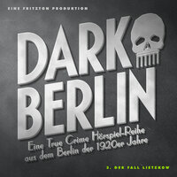 Dark Berlin - 3. Fall - Johanna Magdalena Schmidt
