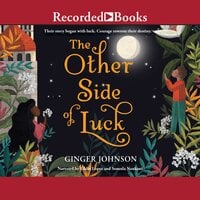 The Other Side of Luck - Ginger Johnson