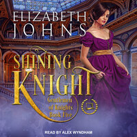 Shining Knight - Elizabeth Johns