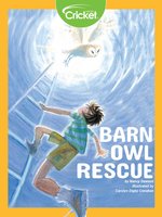 Barn Owl Rescue - Nancy Dawson