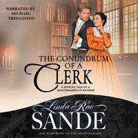 The Conundrum of a Clerk - Linda Rae Sande